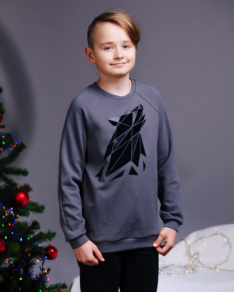 ABSTRACT WOLF KIDS SWEATSHIRT DARK GREY