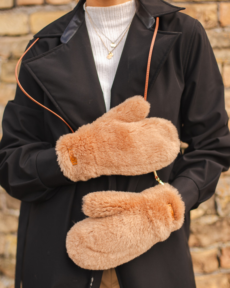 TD SIGNATURE WINTER PAWS