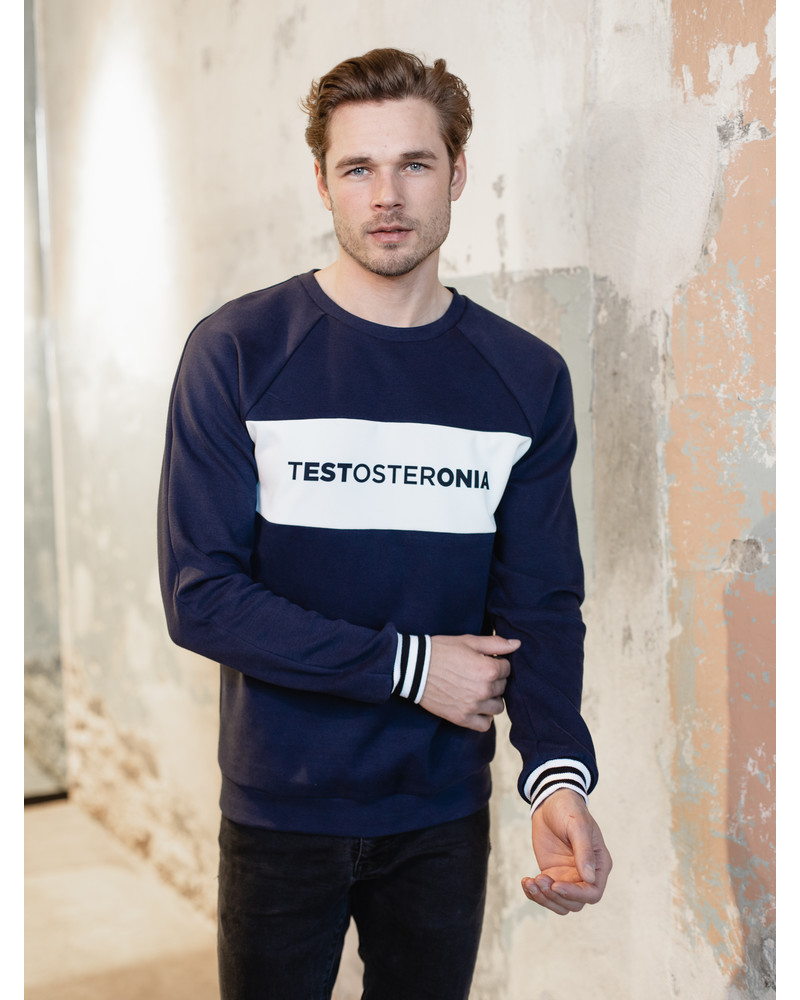 TESTOSTERONIA RAGLAN SWEATSHIRT DARK BLUE